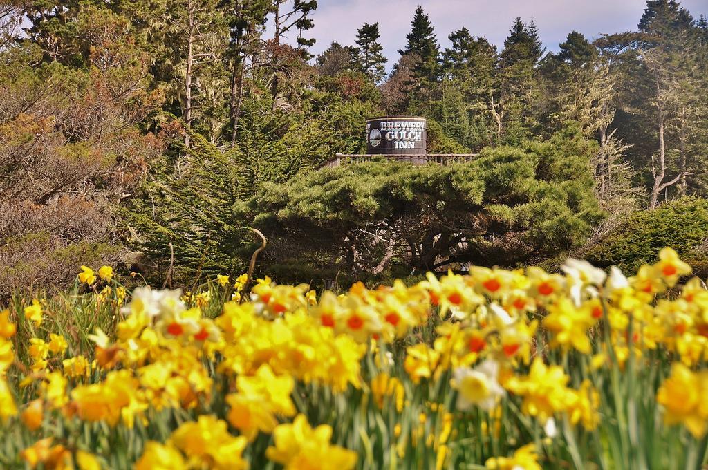 Brewery Gulch Inn & Spa Mendocino Exteriör bild